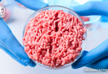 Photo of چرا گوشت آزمایشگاهی وگان نیست
