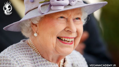 Photo of ملکه انگلستان از مصرف خز خودداری می‌کند
